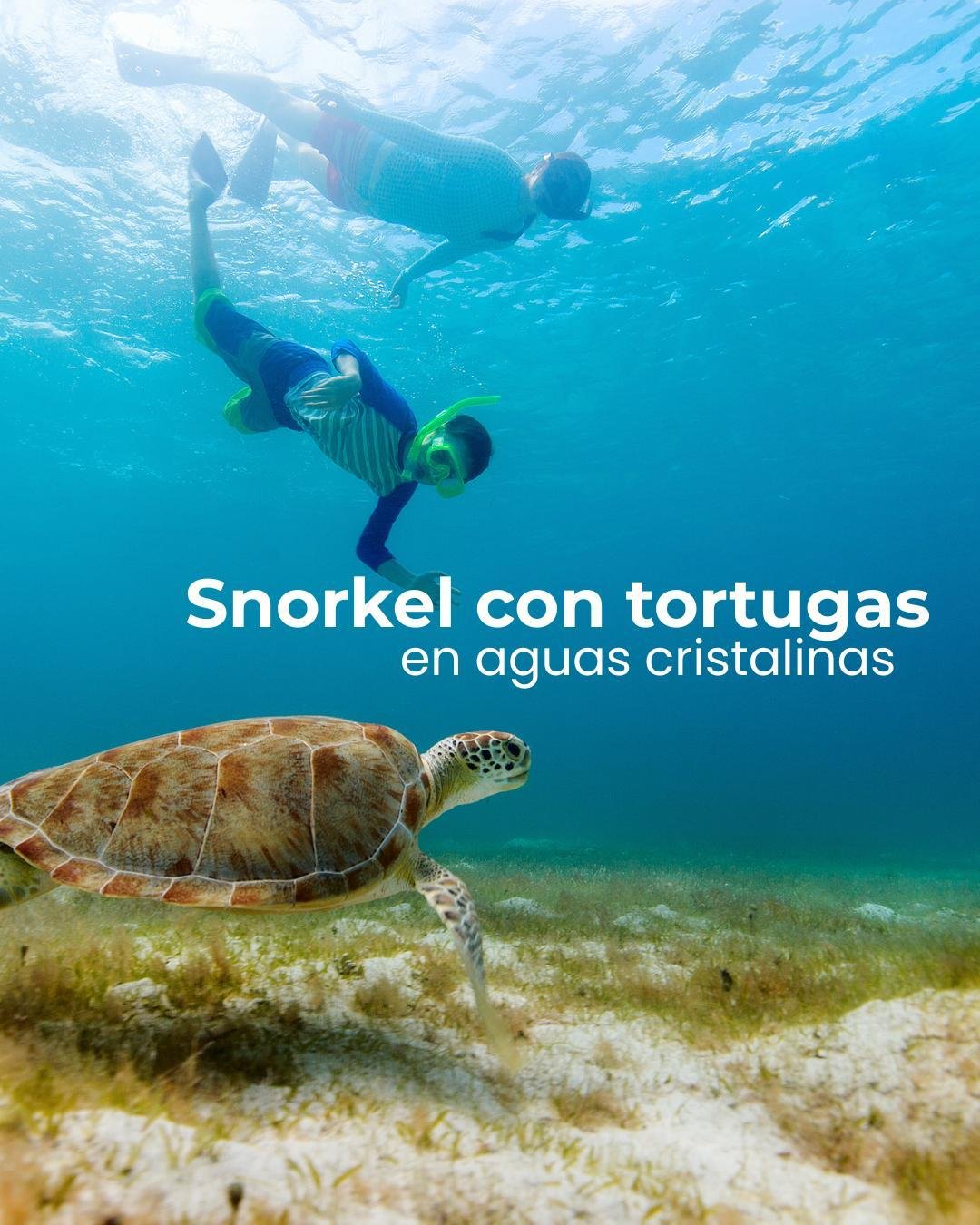 Tulum Tortugas